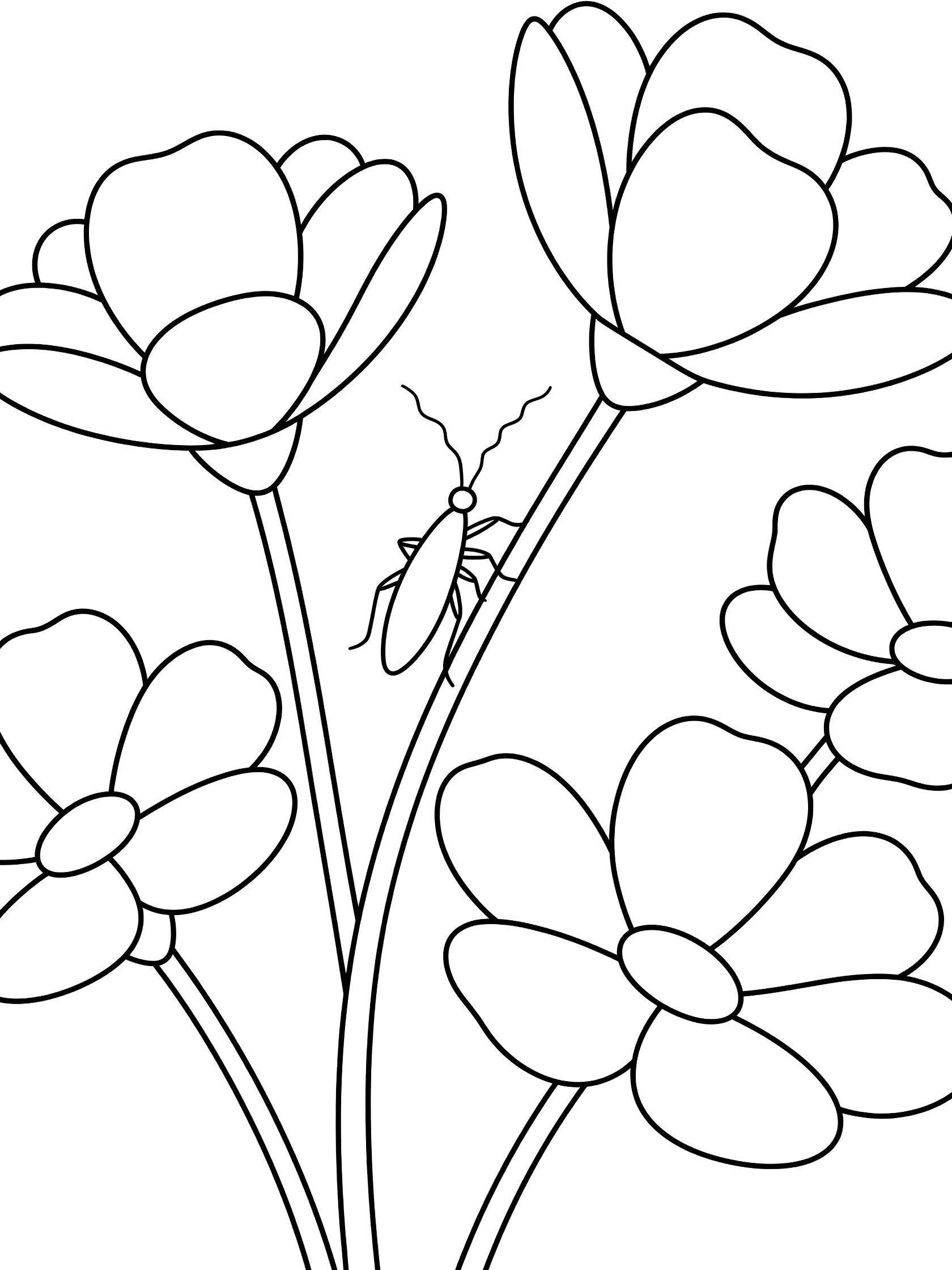 Black and white coloring page showing a long thin stick bug perched on stems among several round-petaled flowers