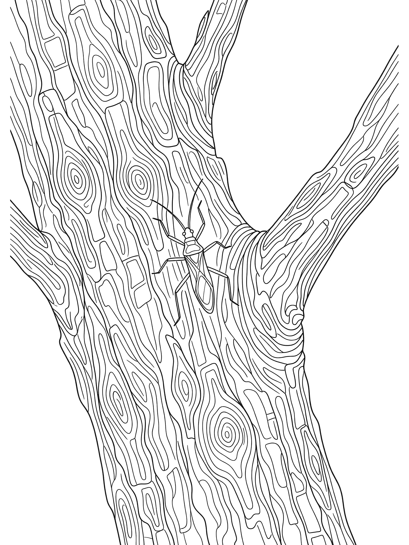 Black and white coloring page of a stick bug on tree bark with detailed grooves and cracks