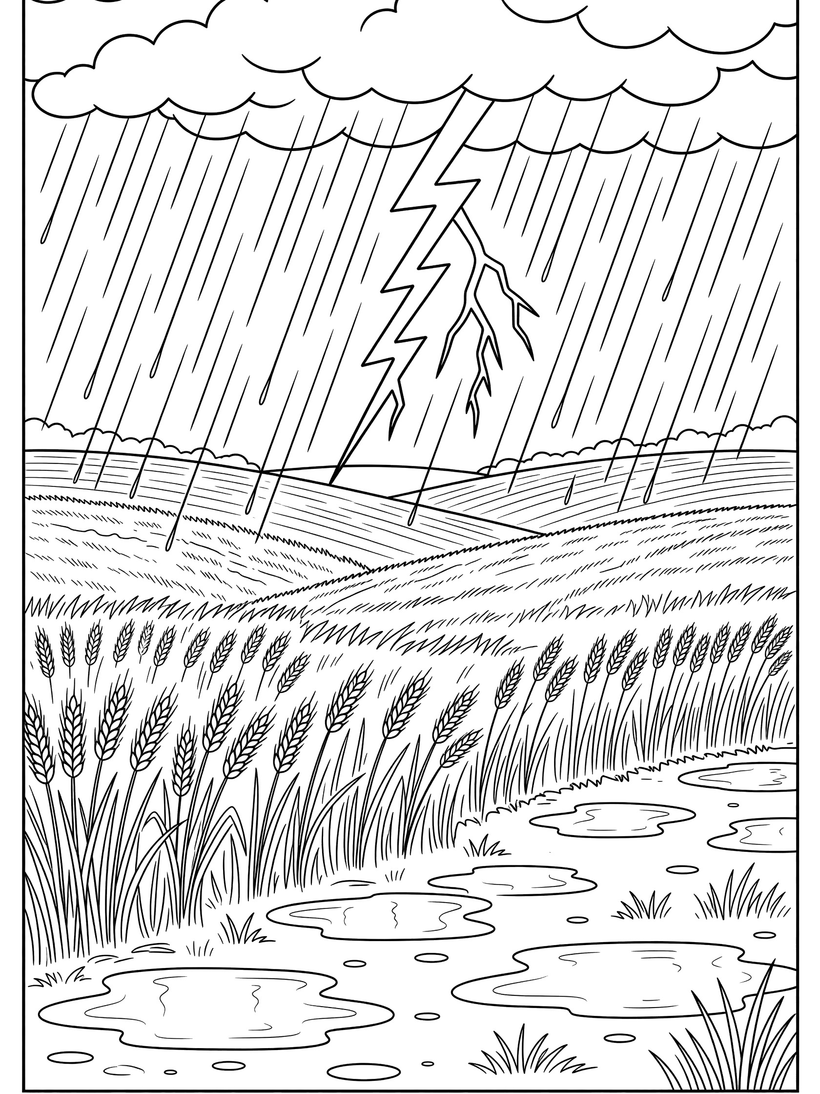 Black and white line art coloring page showing dark clouds, pouring rain, forked lightning, swaying wheat in rolling fields, and ground puddles