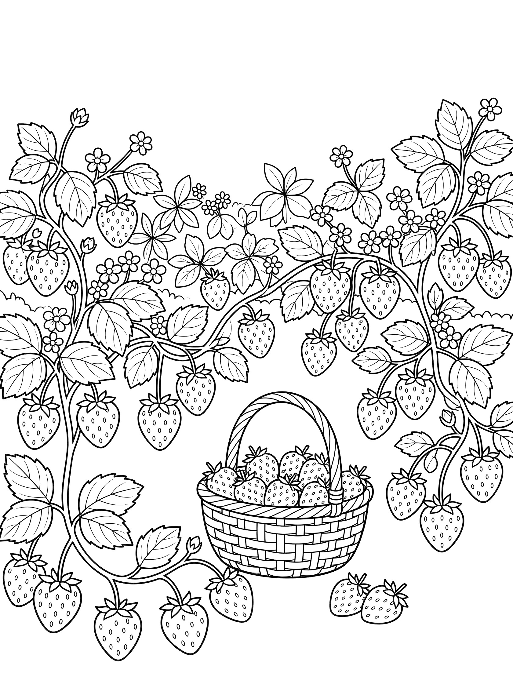 Black and white line art coloring page showing ripe strawberries on twisting vines with broad leaves, tiny white flowers, and a woven basket filled with berries in a berry patch.