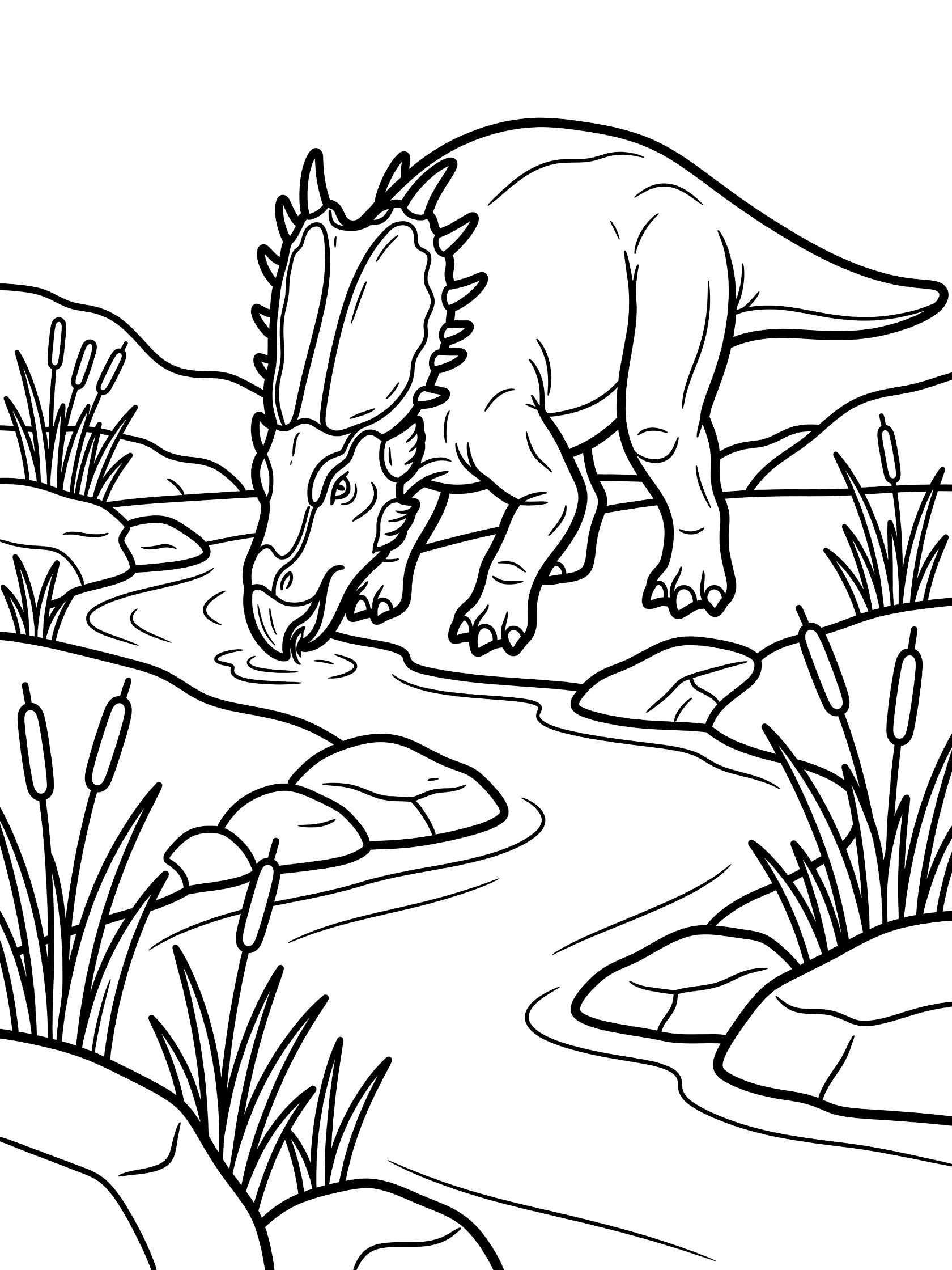 Black and white line art coloring page showing a Styracosaurus dinosaur with head frill bending to drink from a winding stream surrounded by rocks and tall reeds.