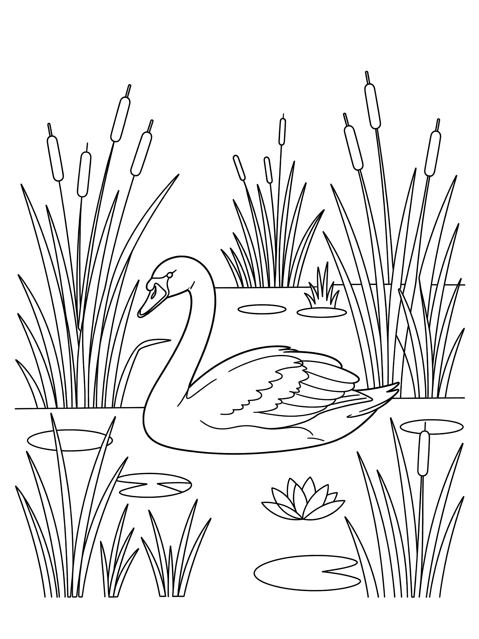Black and white line art coloring page of a swan in a pond surrounded by tall reeds and lily pads