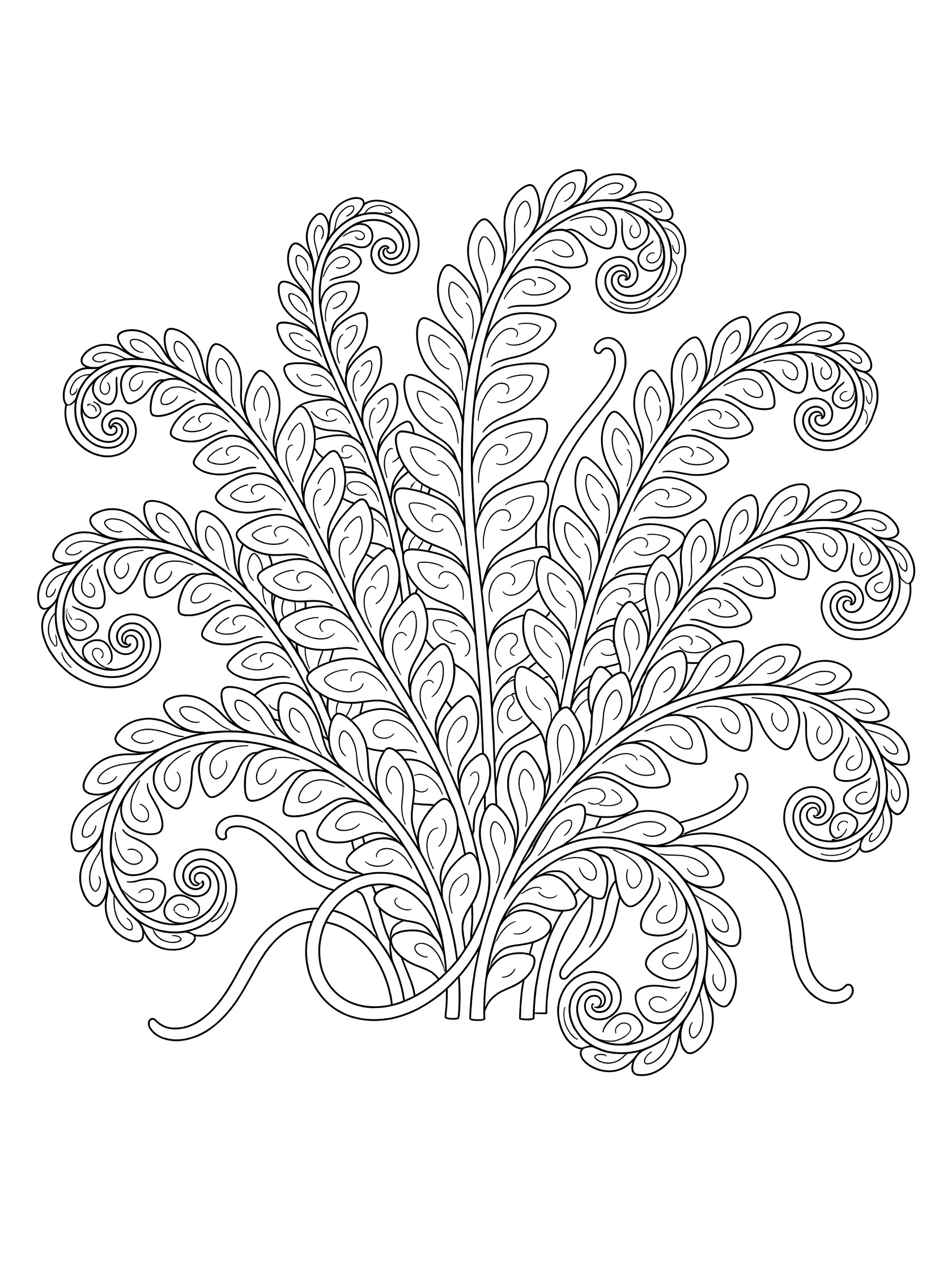 Printable coloring page showing a cluster of swirling fern fronds with detailed curly leaves and twisting stems on white background
