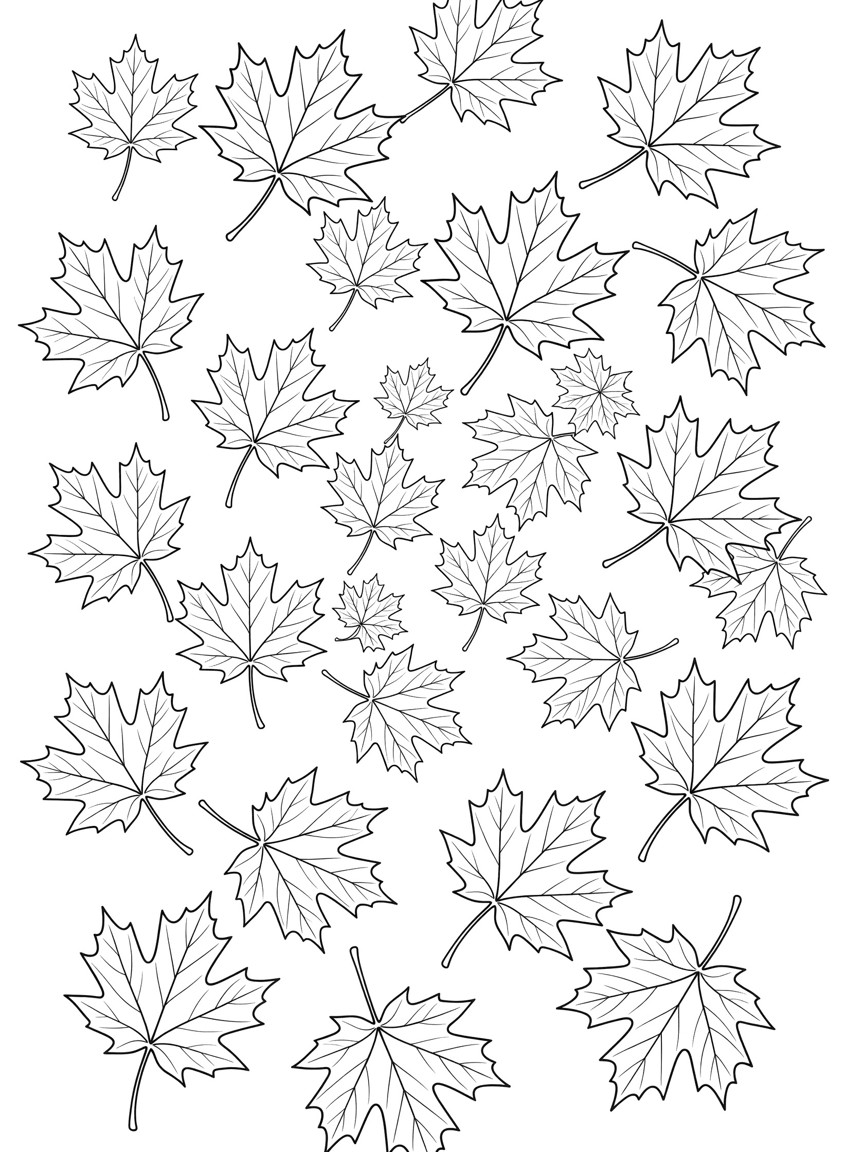 Black and white line art coloring page showing multiple maple leaves arranged in a swirling circular pattern on white background. Maple Leaf themed black and white printable line art