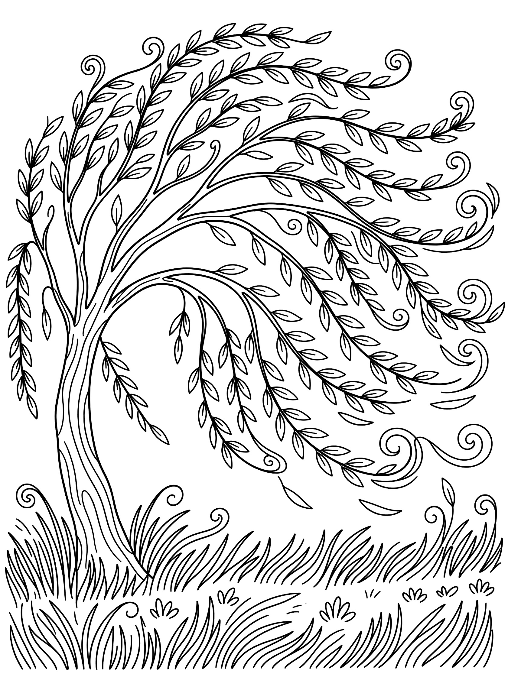 Black and white coloring page of a weeping willow tree with long flowing branches swirling in the wind, leaves flying, and wavy grass below.