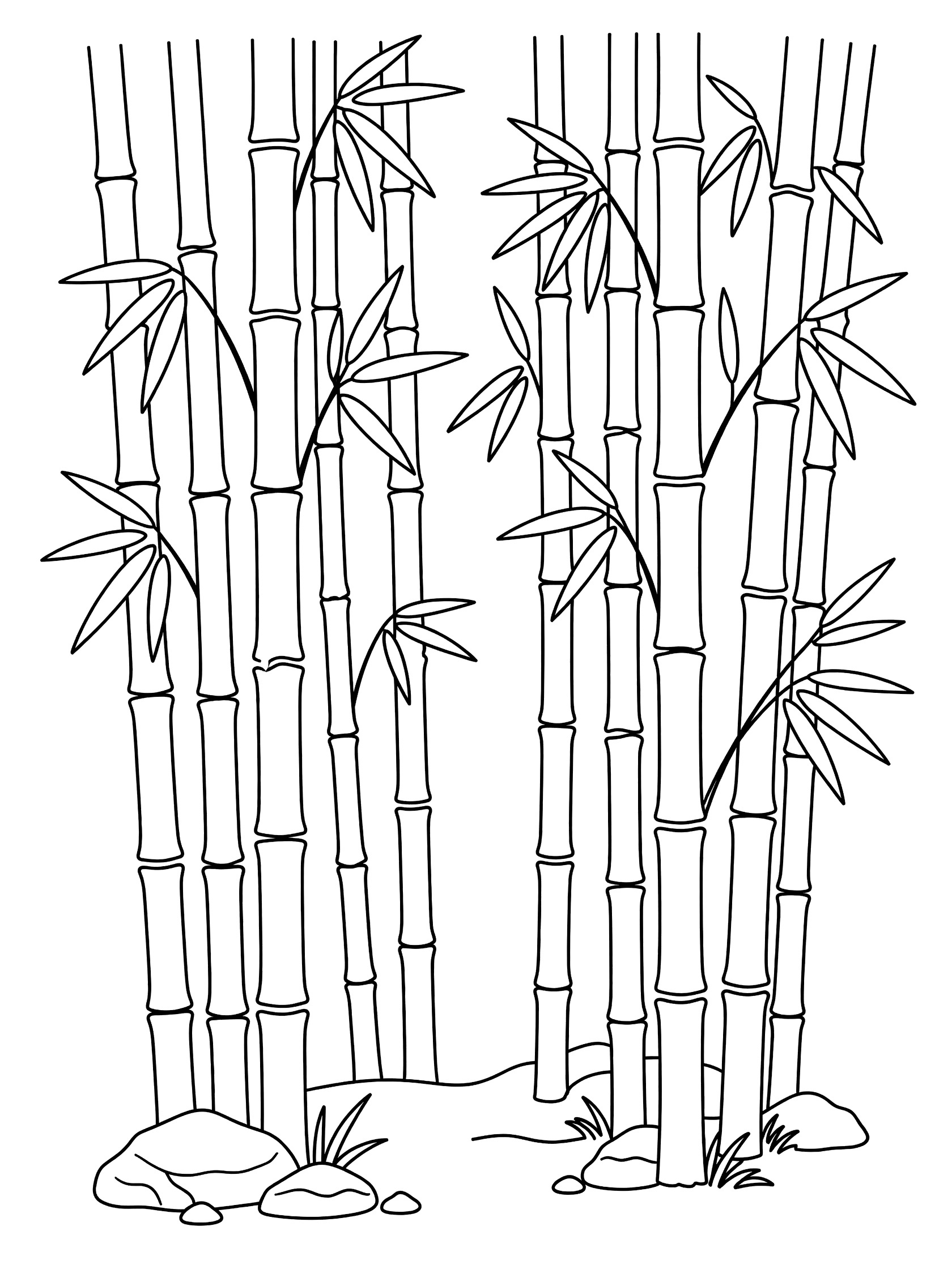 Black and white line drawing of a tall bamboo forest with long stalks, curving leaves, rocks and grass at the base, on a pure white background. Bamboo Forests themed black and white printable line art