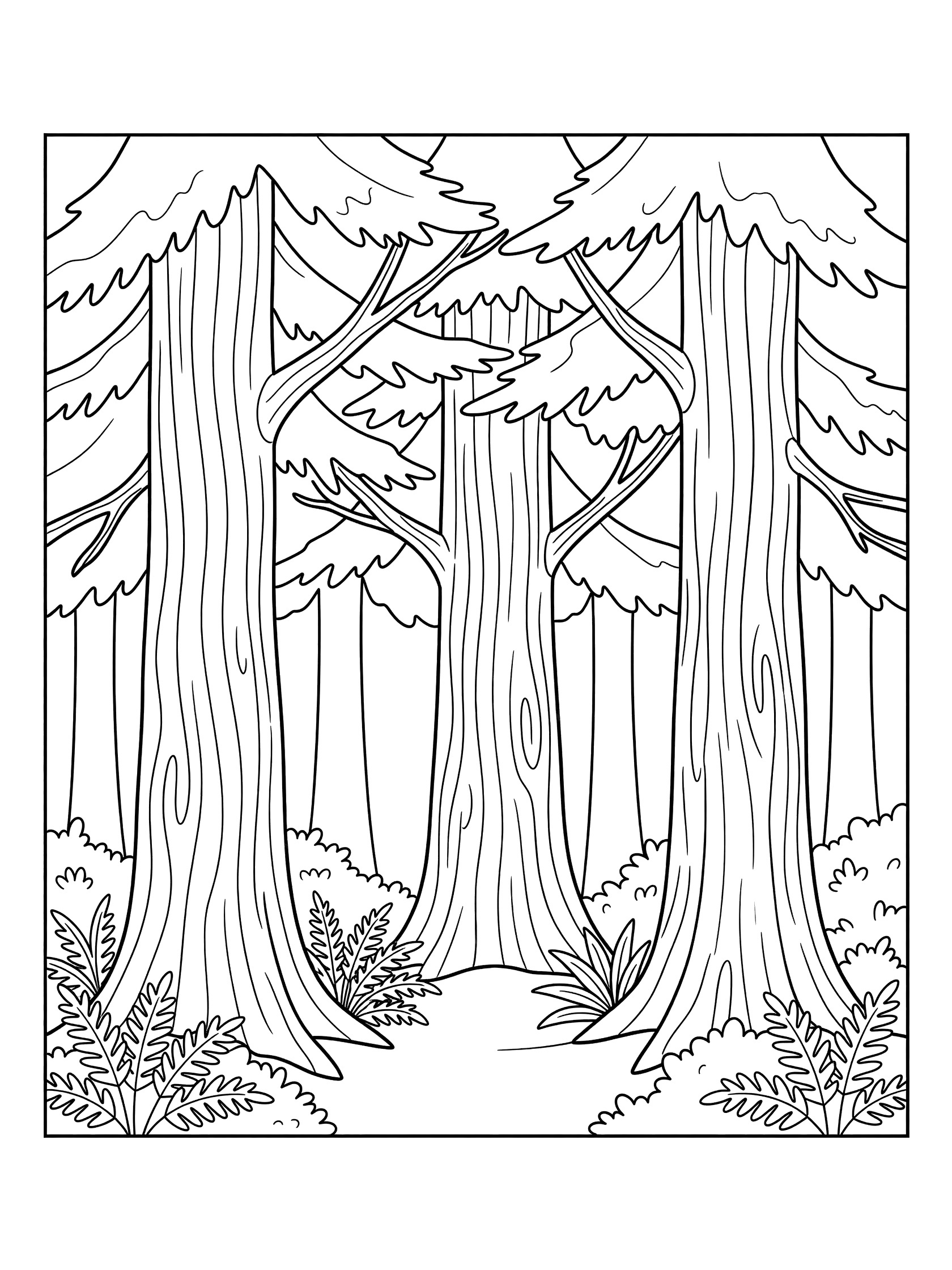 Black and white line drawing of three tall evergreen trees with interlocking branches, textured trunks, and ferns and bushes at the base, coloring book style. Redwood Tree themed black and white printable line art
