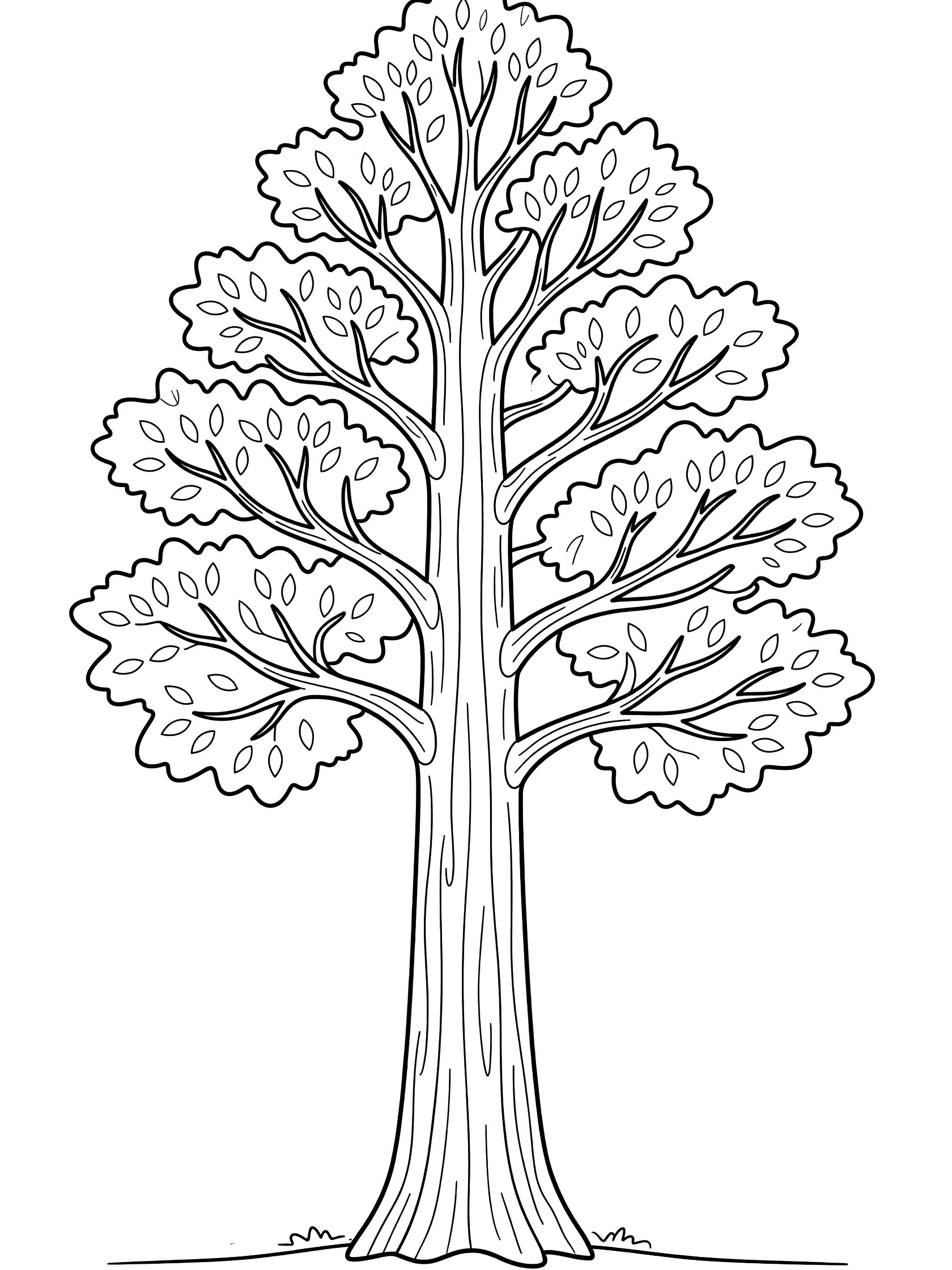 Black and white coloring page of a single tall tree with thick straight trunk, textured bark lines, wide bushy branches, and simple leaves. Sequoia Tree themed black and white printable line art