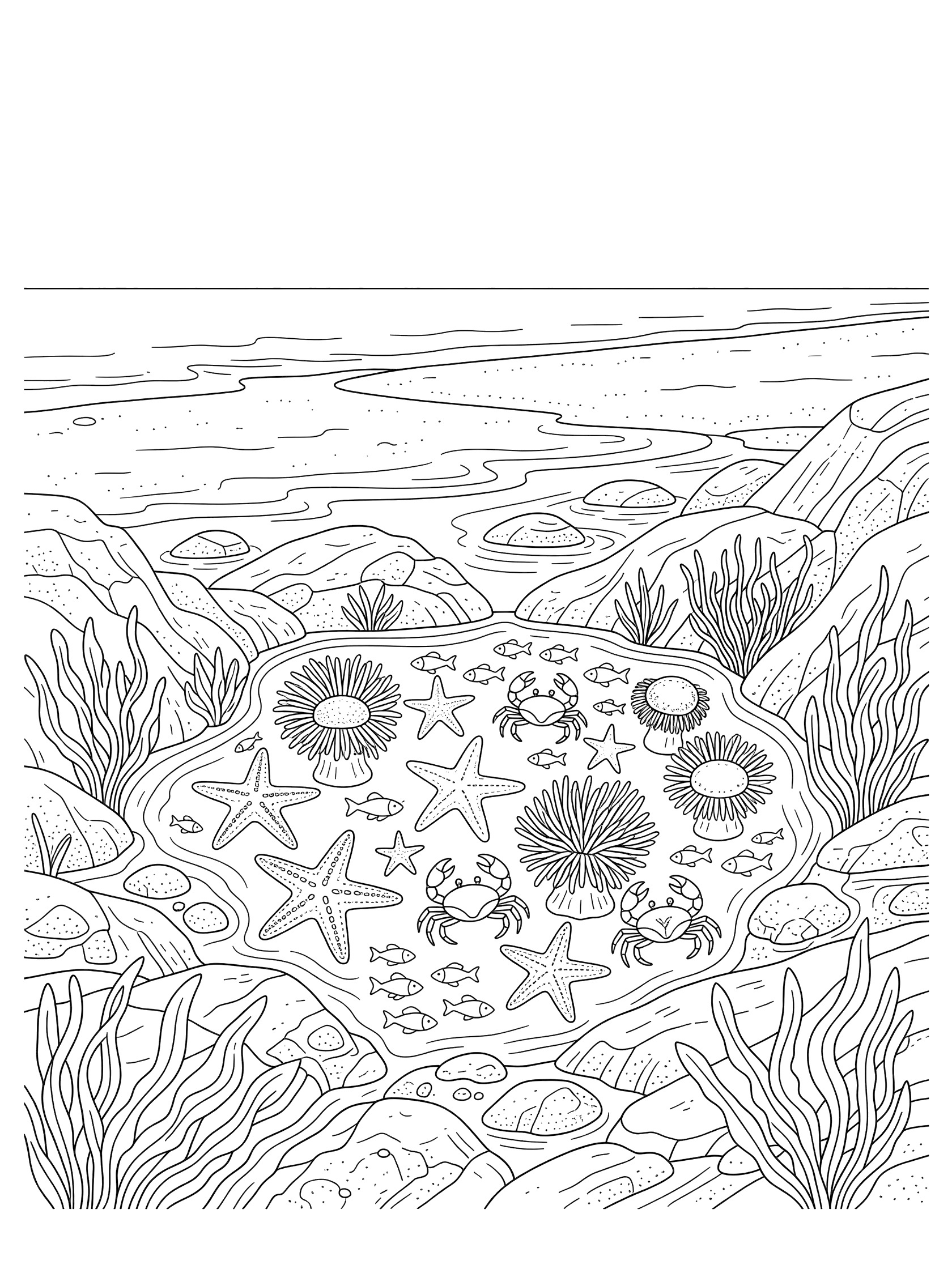 Black and white line art coloring page of a tide pool filled with starfish, crabs, sea anemones, small fish, rocks, seaweed, and gentle waves on a beach. Oregon Coast themed black and white printable line art