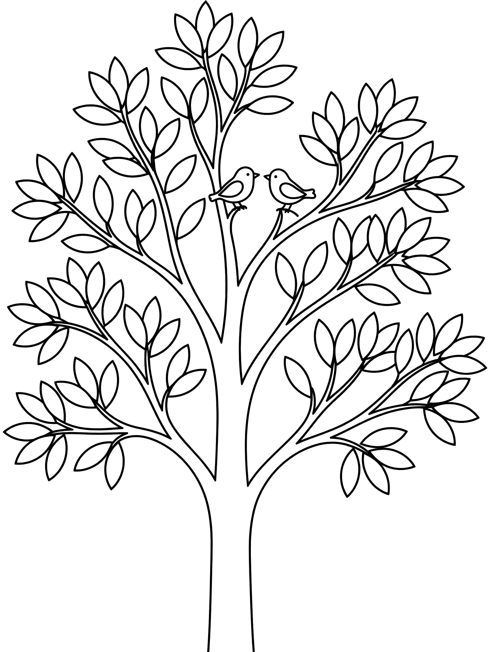 Black and white coloring page showing a tall tree with fan-shaped leaves and two small birds perched on branches near the top. Cypress Tree themed black and white printable line art