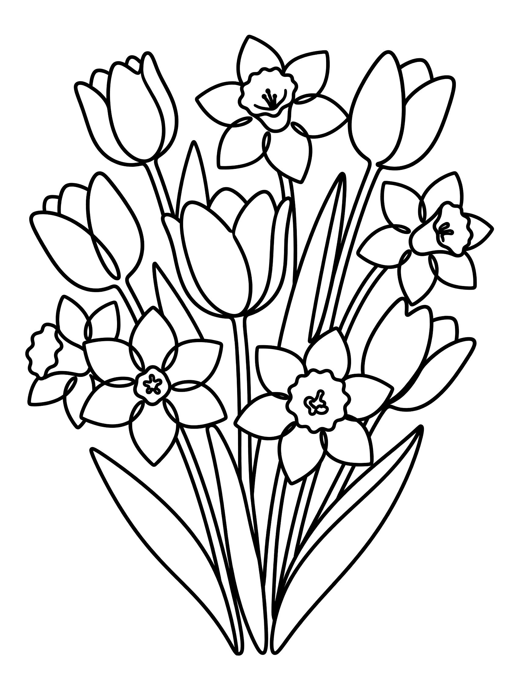 Black and white line drawing of a bouquet of tulips and daffodils with stems and leaves for kids coloring page. Bouquets themed black and white printable line art