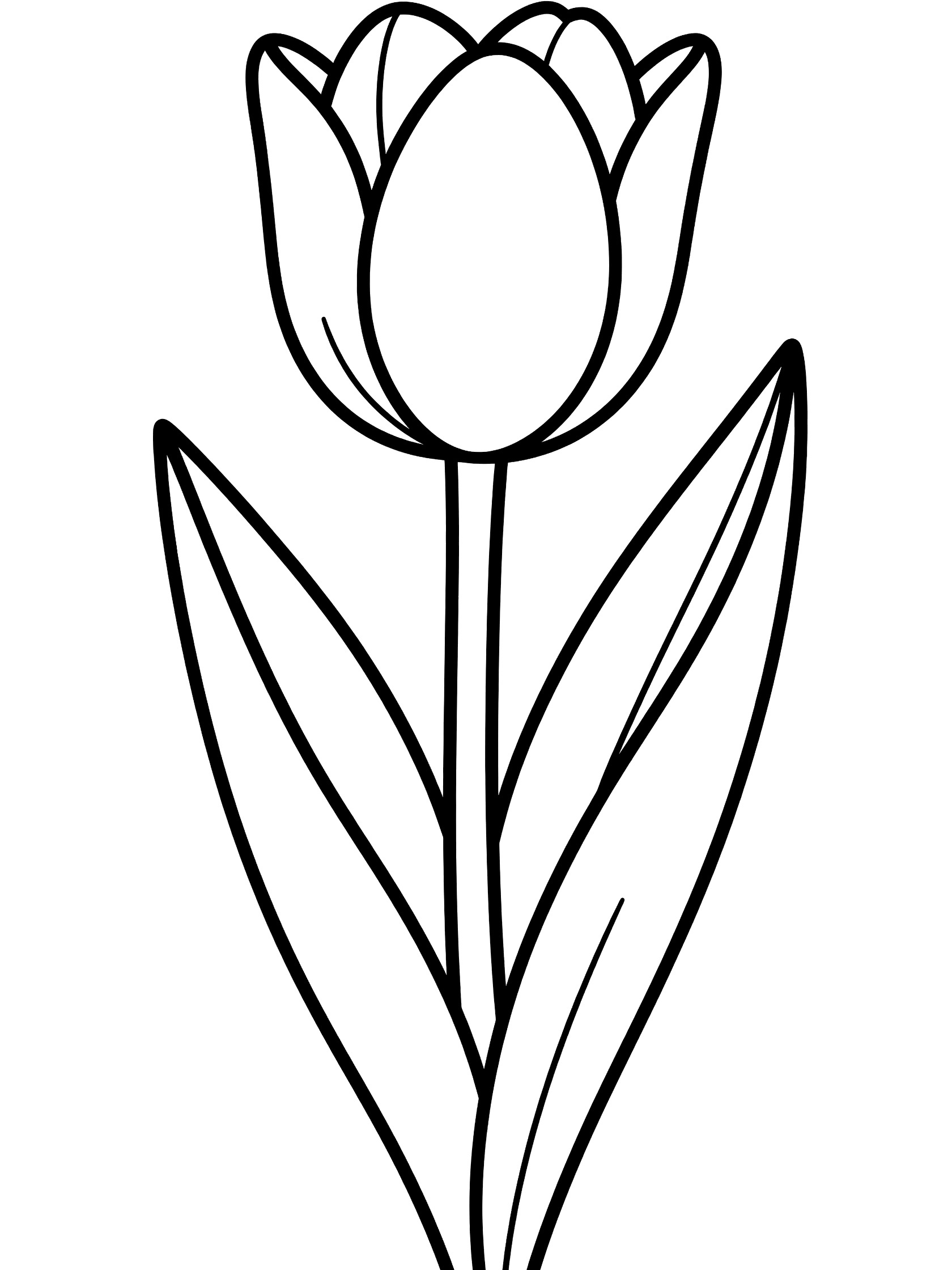 Black and white line drawing of a single upright tulip flower with curved petals, straight stem and two broad leaves at the base