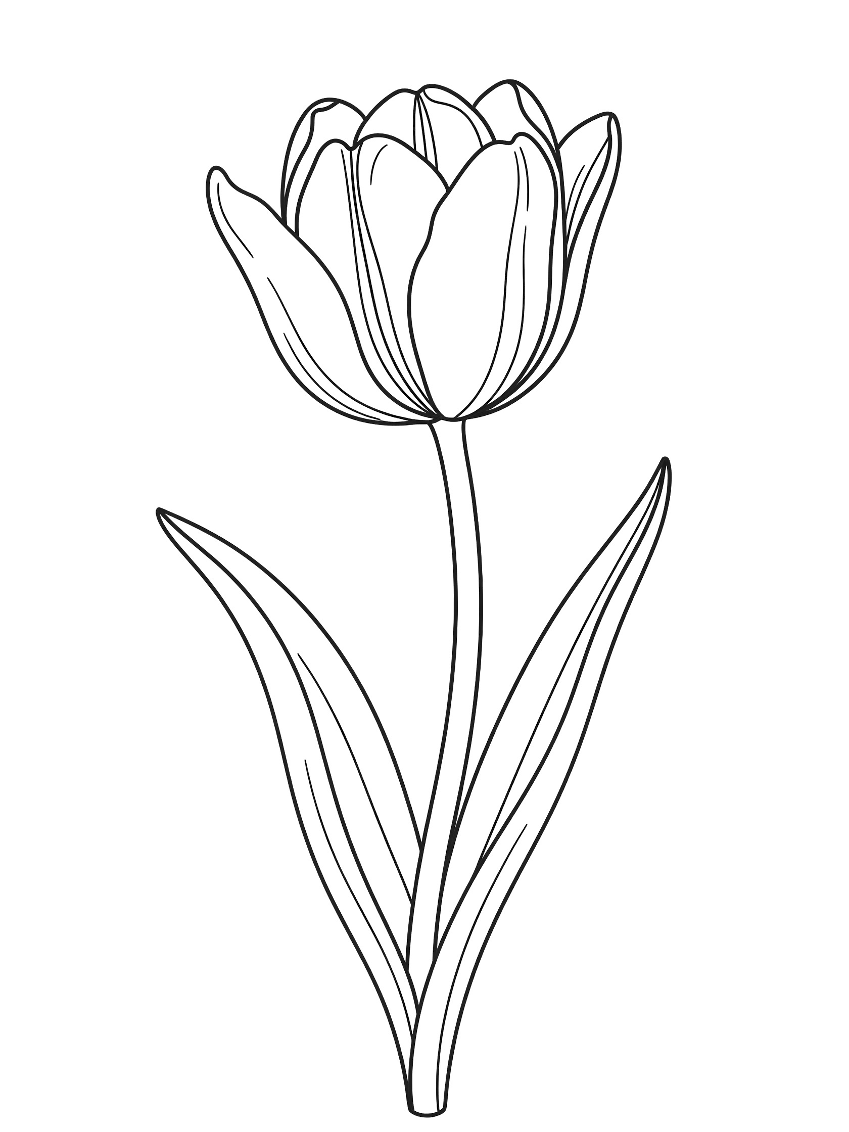 Black and white line drawing of a tall tulip flower with layered opening petals, long curving stem, and two curved leaves.