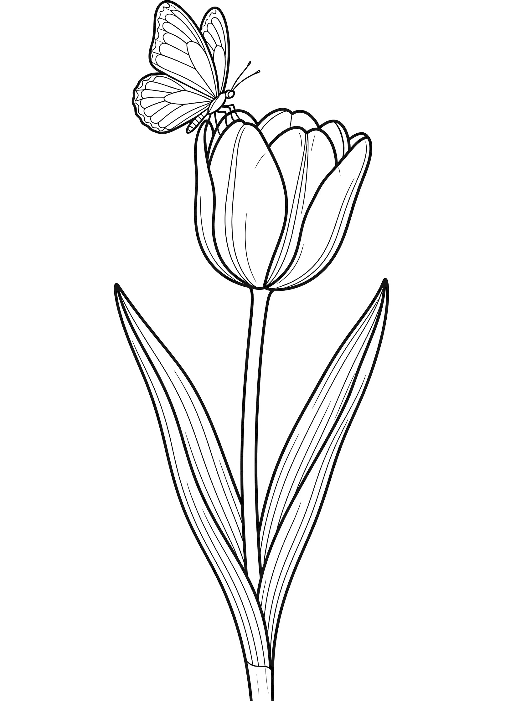 Black and white line drawing of a single tulip flower with long leaves and a small butterfly perched on one petal.
