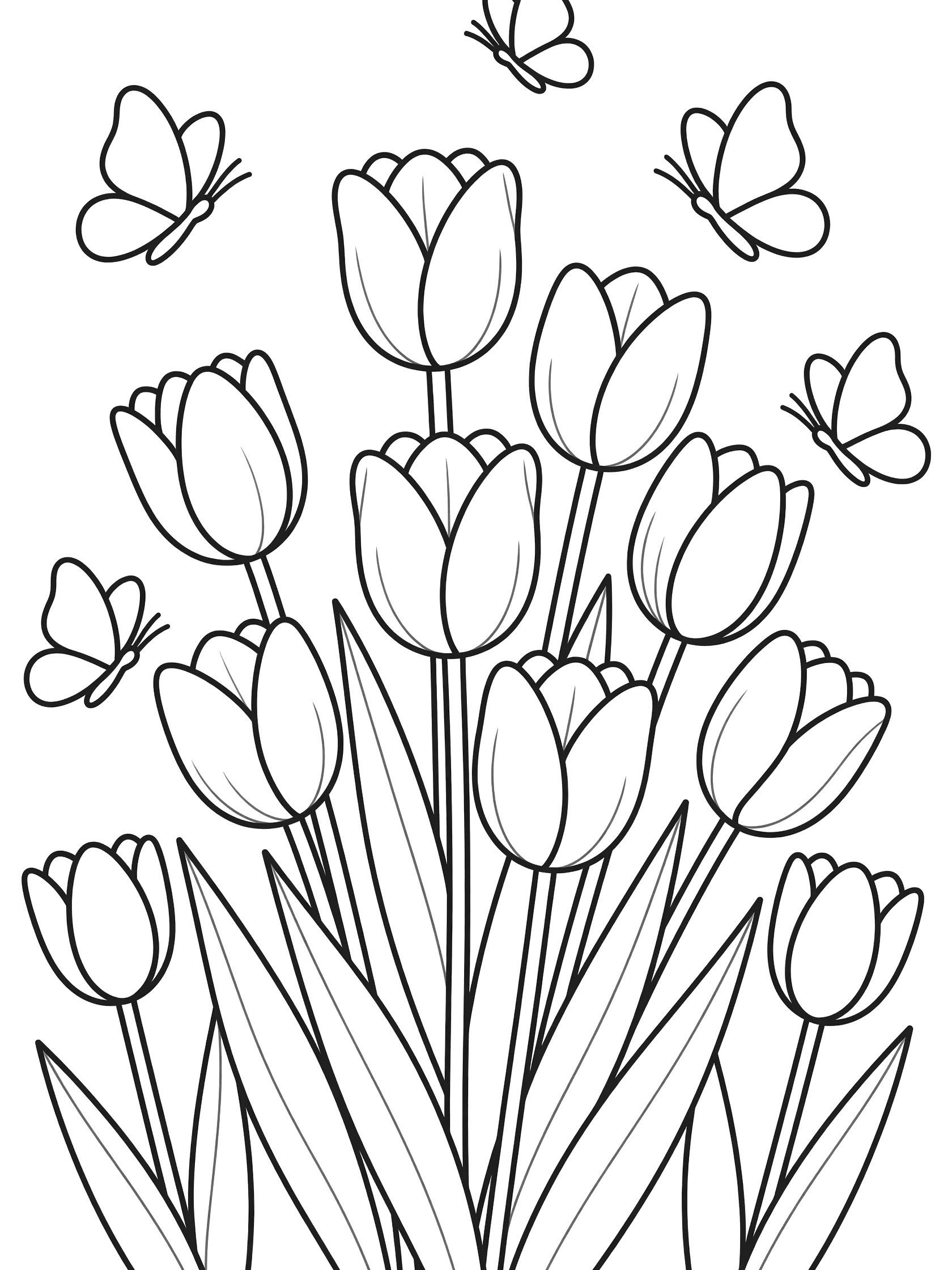 Black and white line drawing of tulips in a bouquet with butterflies flying around, printable coloring page. Bouquets themed black and white printable line art