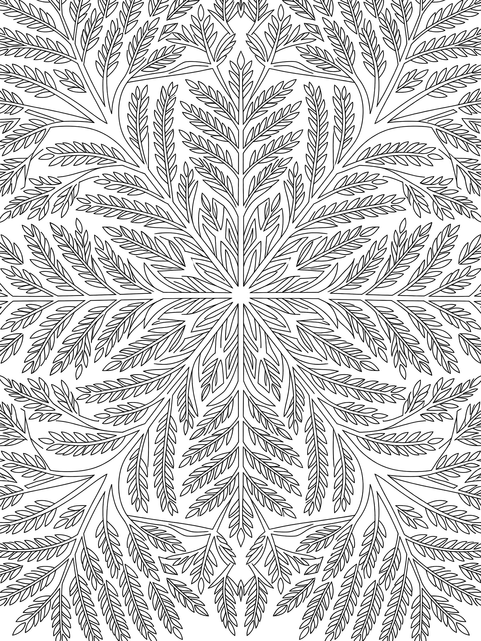 Detailed black-and-white line art coloring page featuring a repeating geometric pattern of Umbrella Thorn Acacia tree leaves with bipinnate leaflets and thorns as polygons, triangles, and curves.