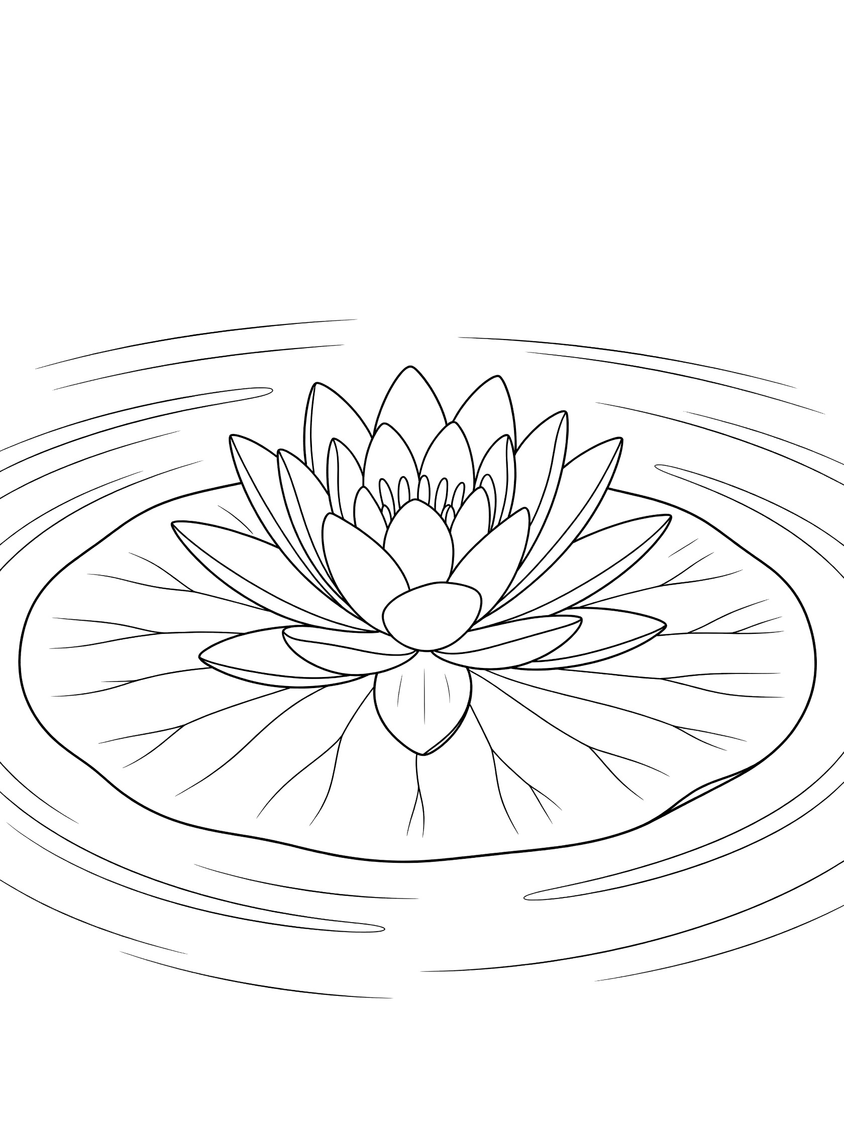 Black and white coloring page of a water lily flower on a large lily pad surrounded by pond ripples
