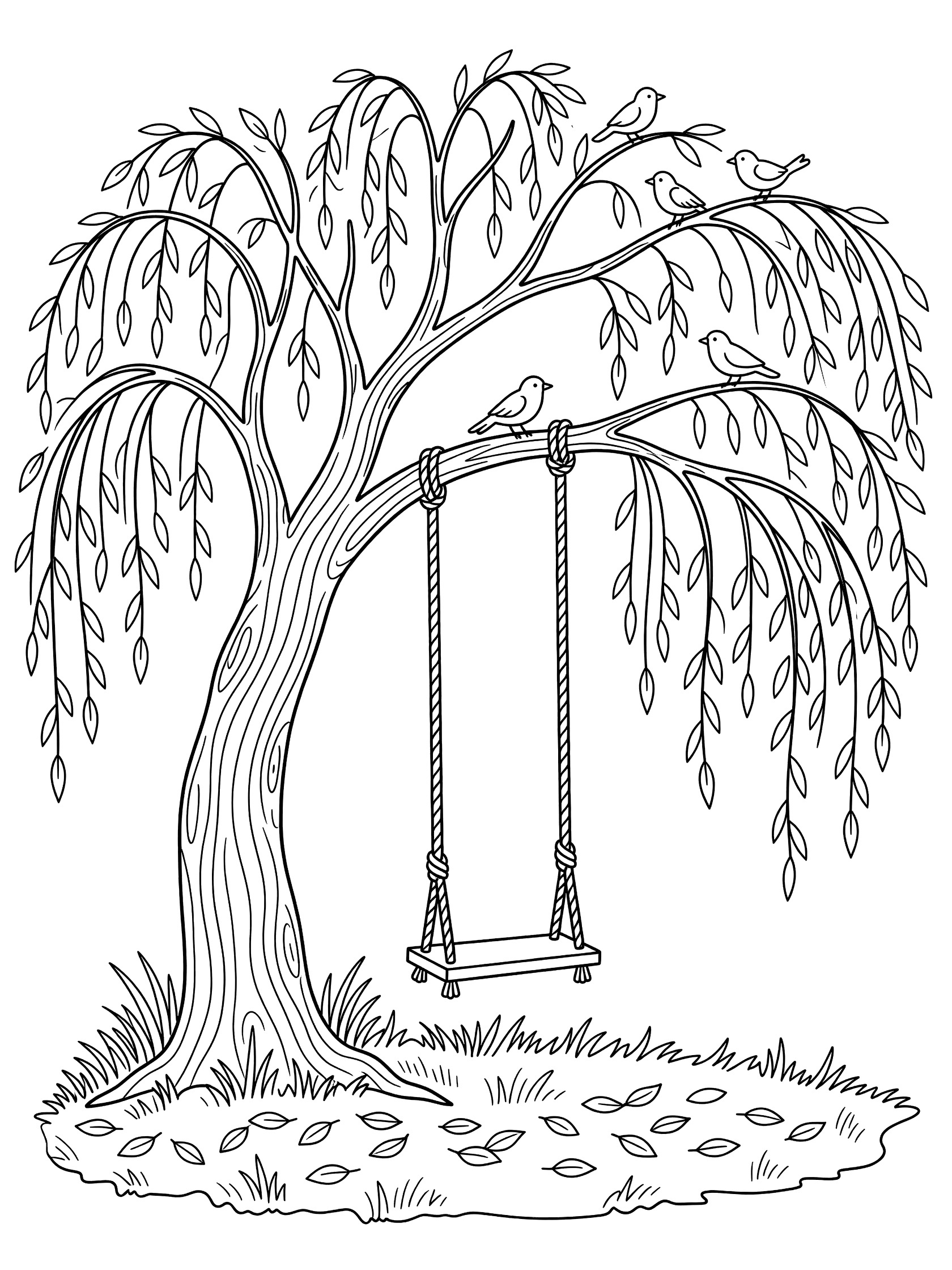 Black and white line art coloring page of a weeping willow tree with long drooping branches, birds on limbs, rope swing hanging from a branch, and grass with leaves below.