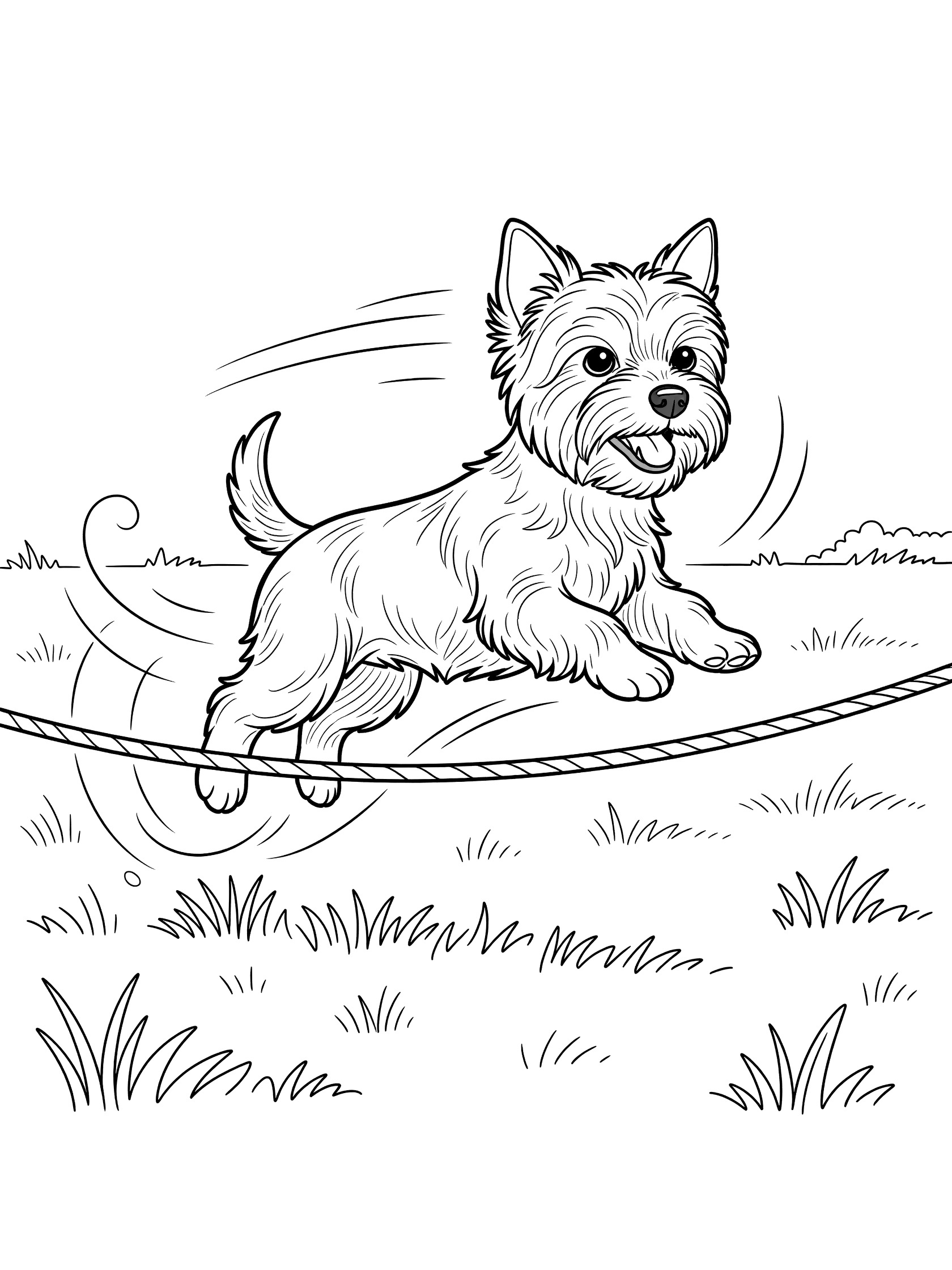 Black and white coloring page showing a small Westie dog jumping over a rope, with swirling motion lines, grass patches, and a happy expression. Yorkshire Terrier themed black and white printable line art