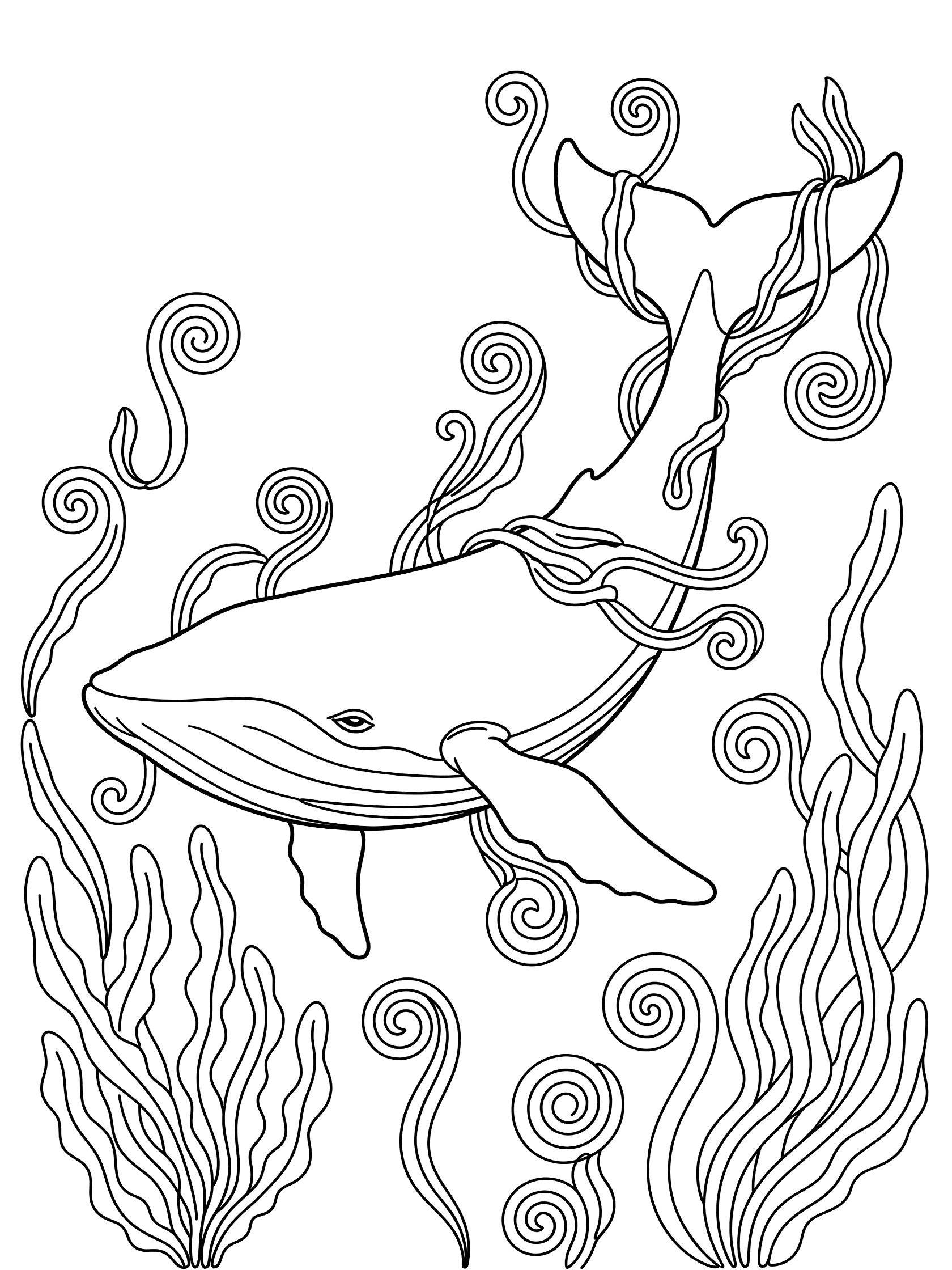 Black and white coloring page of a whale with long seaweed wrapped around its fins and tail, surrounded by swirly seaweed strands