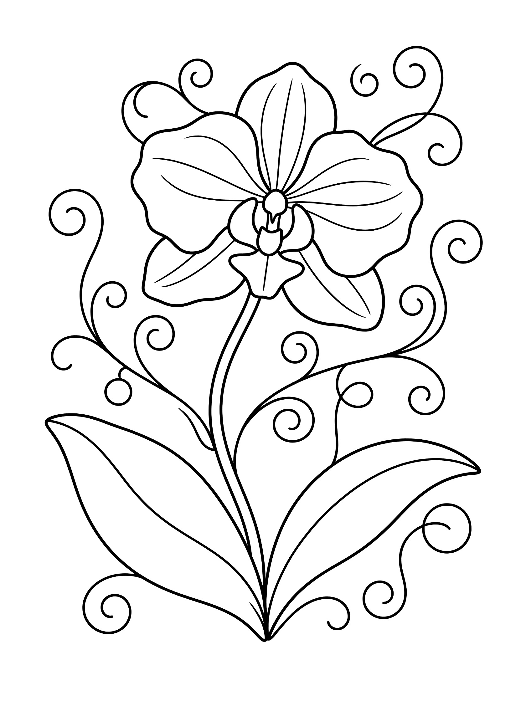 Black and white line drawing of a whimsical orchid flower with wavy edged petals, curly vines and swirls around the stem, and playful twisty leaves on a white background.