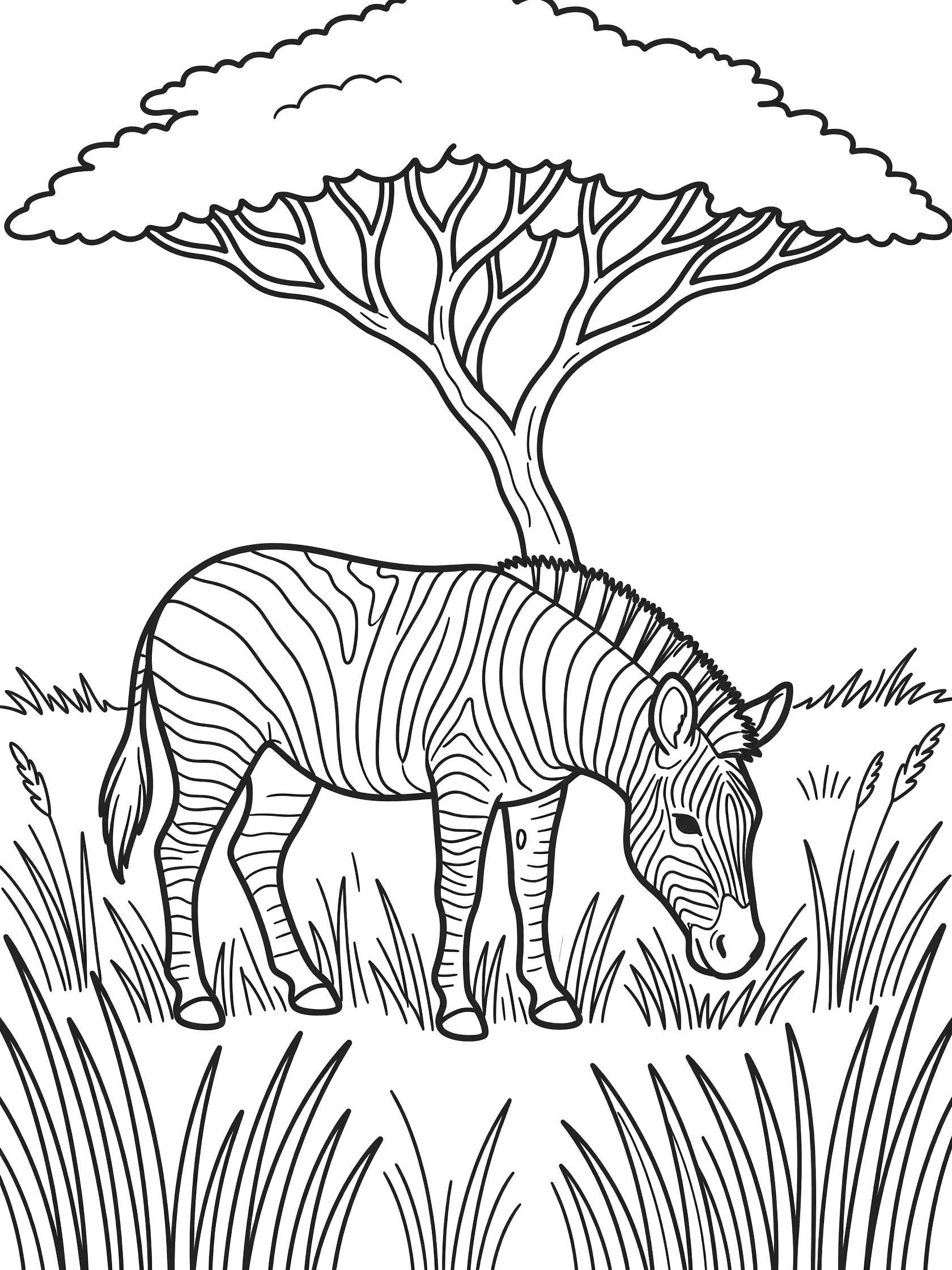 Black and white line art coloring page showing a zebra with stripes grazing on grass under a large acacia tree with wide branches.