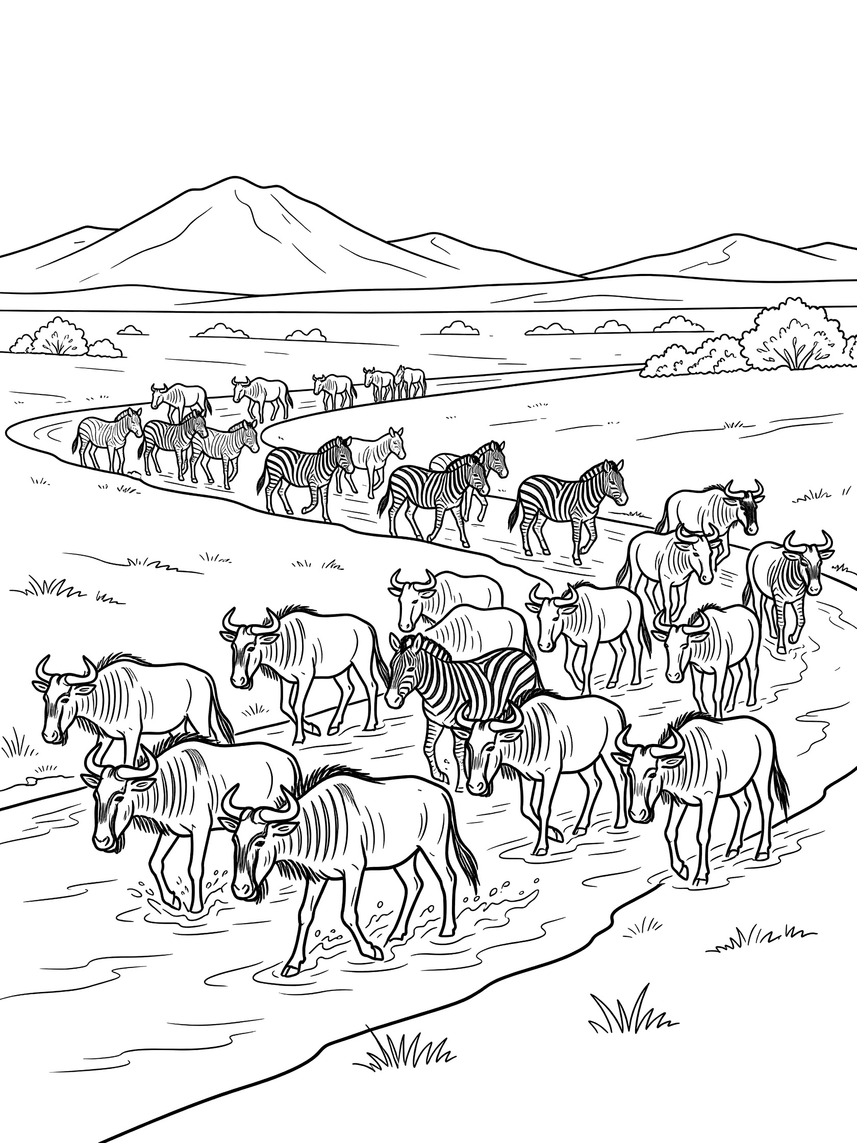 Black and white coloring page showing a herd of wildebeests wading through a shallow river, zebras walking behind, African plains with bushes and distant mountains.