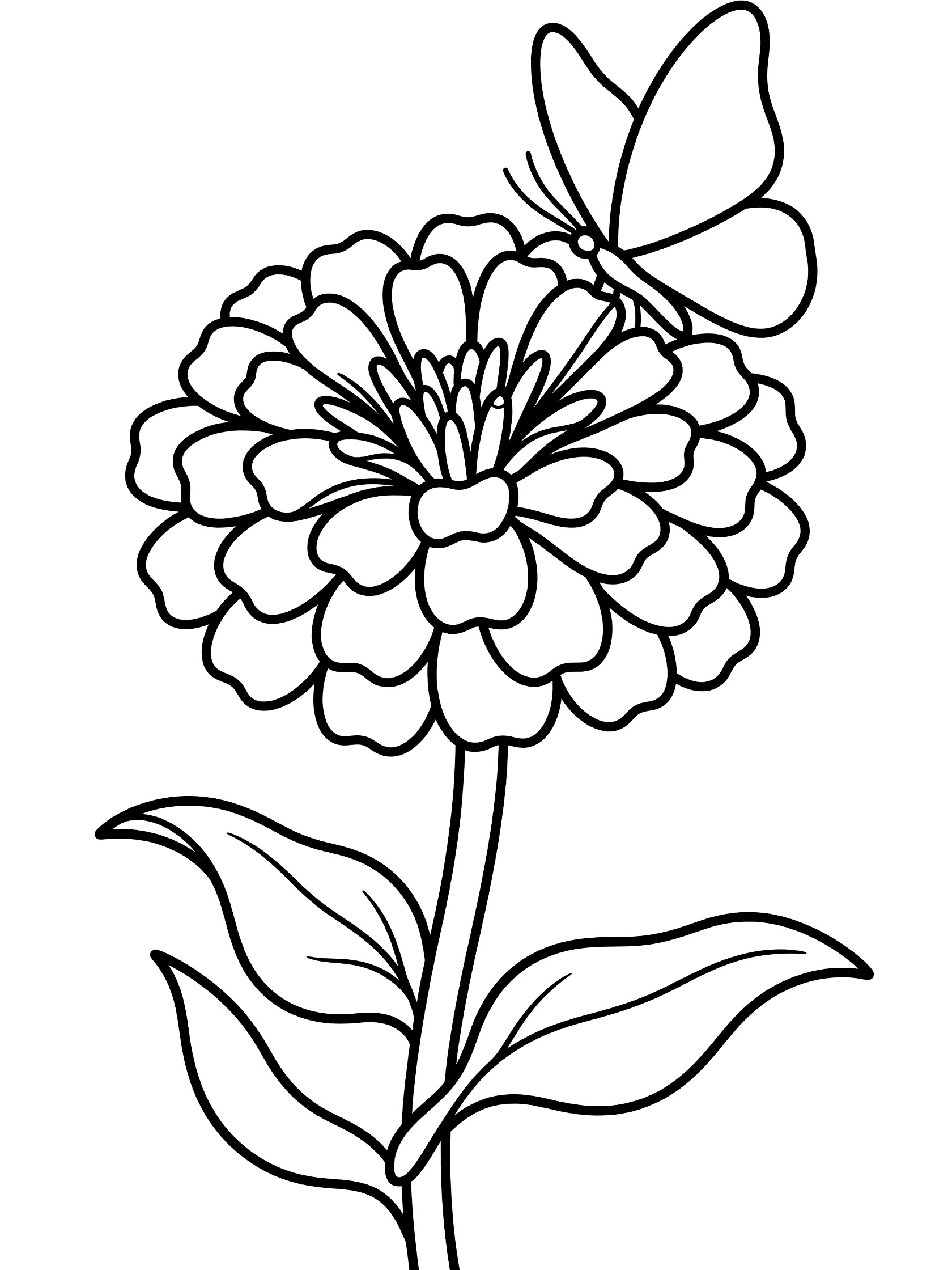 Black and white line drawing of a zinnia flower with layered petals, a butterfly perched on a petal with wings open, and leaves on the stem.