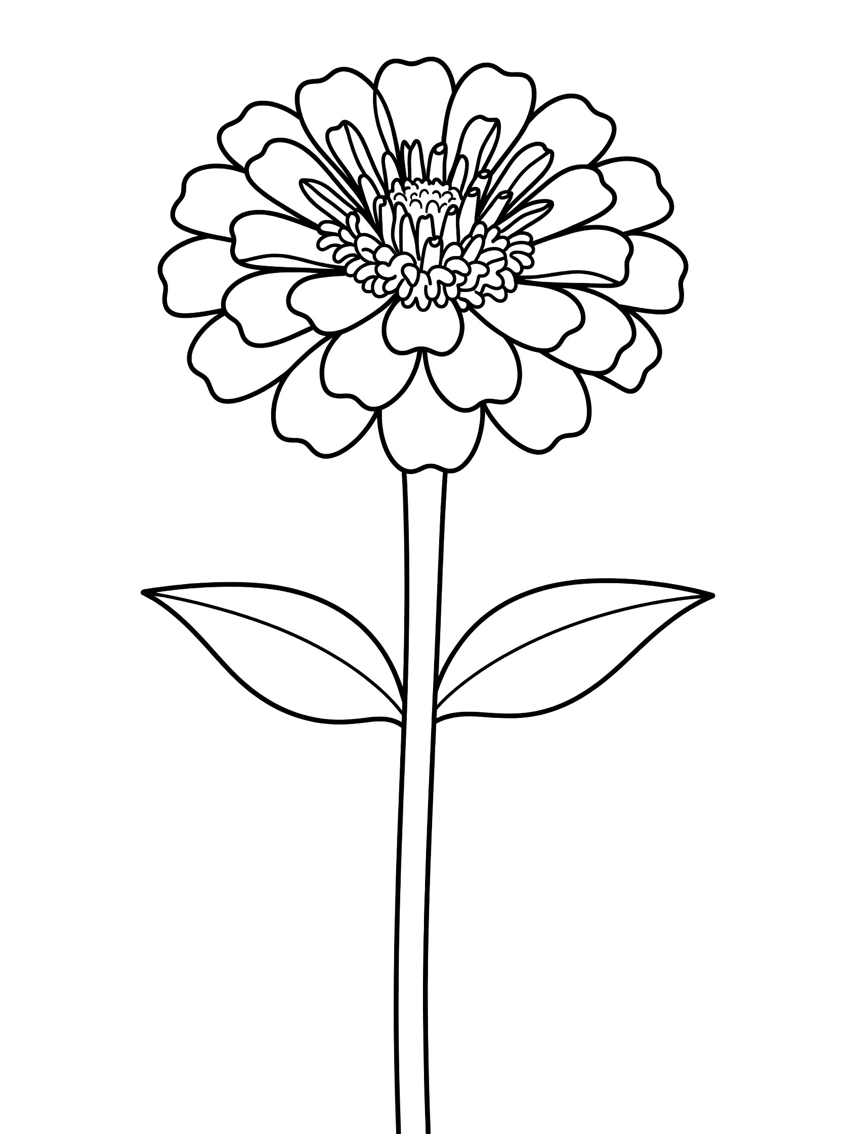 Black and white line art of a single zinnia flower in full bloom on a stem with two leaves, coloring book style.